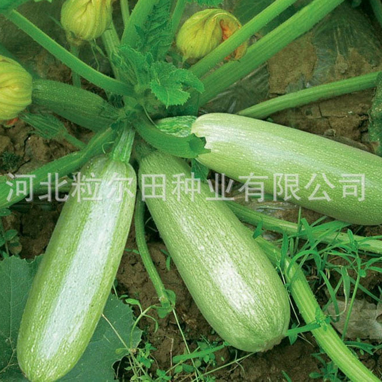 淘宝5.jpg