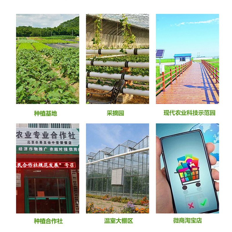 通用1