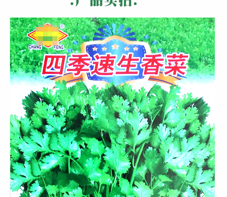首图