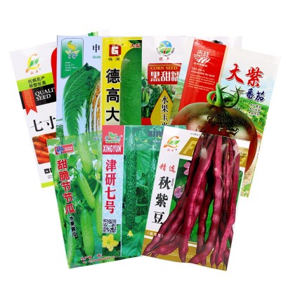 蔬菜种子几百个品种四季蔬菜籽阳台菜园盆栽均可彩包种子图5