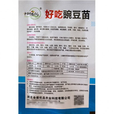 研优豌豆苗种子 菜园农家摘多茬摘不败豌豆尖种子 易种盆栽阳台孑图5