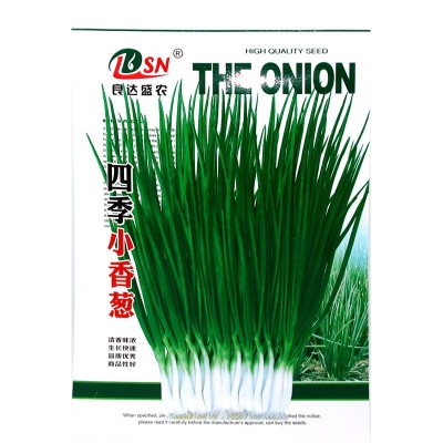 四季小香葱种子 农田菜地农户盆栽种植早熟四季抗寒蔬菜小葱籽图5