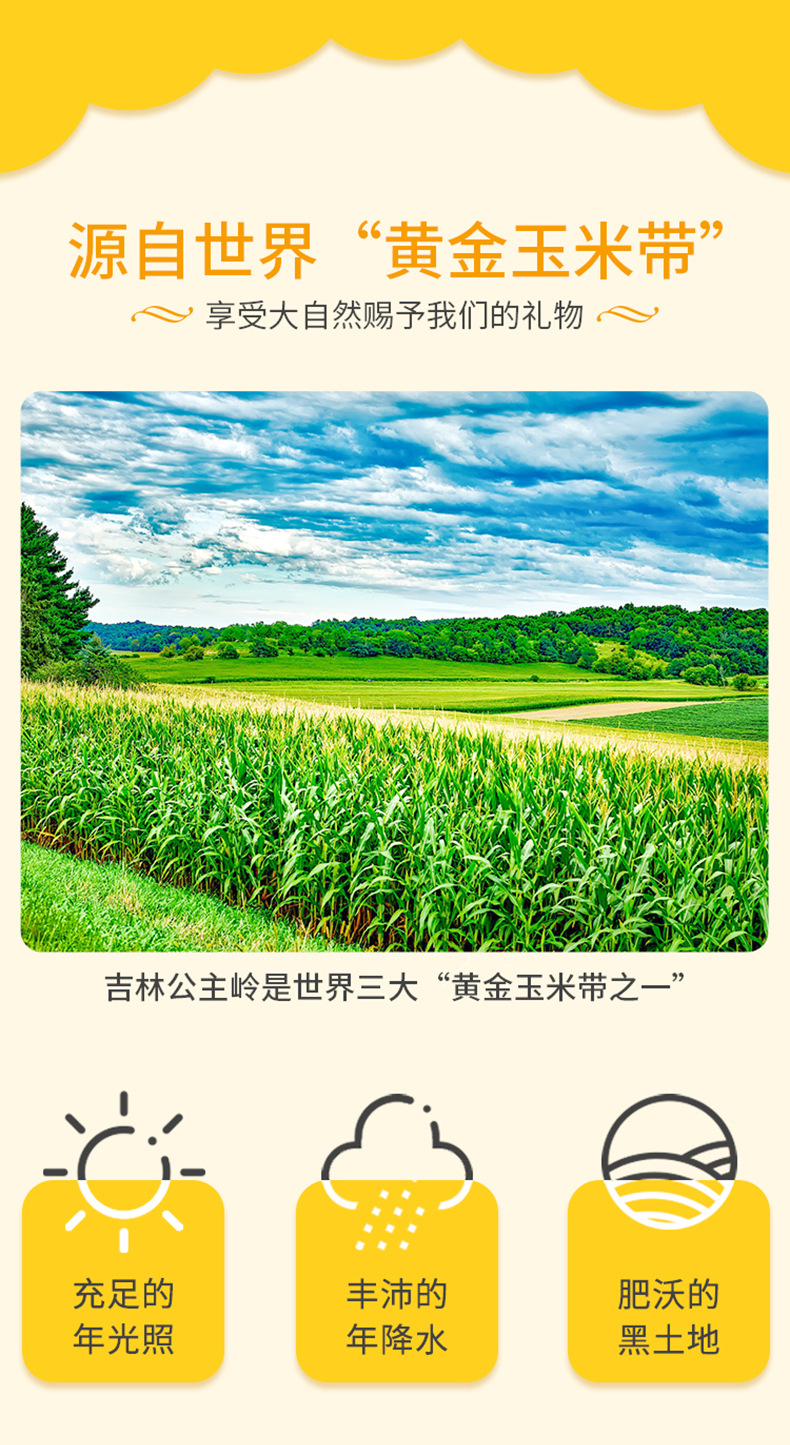 详情_02.jpg
