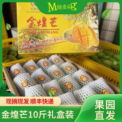 果园产地直发海南三亚金煌芒水仙芒送礼应季水果礼盒装代发顺丰图1
