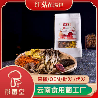 红菇菌汤包 秋冬送礼煲汤食材 73g袋装菌菇 彤菌堂厂家 营养滋补汤料