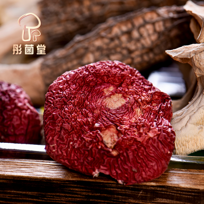 红菇菌汤包 秋冬送礼煲汤食材 73g袋装菌菇 彤菌堂厂家 营养滋补汤料图4