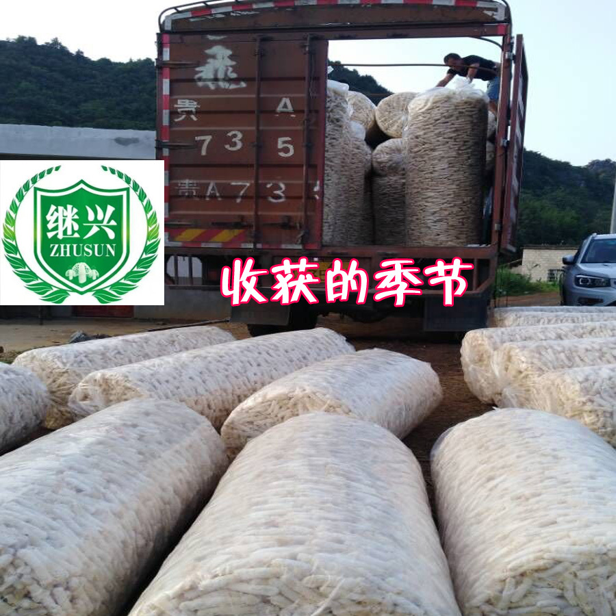 等级分选