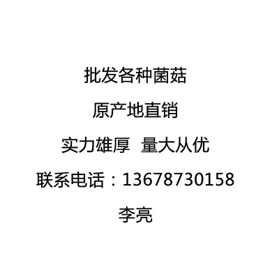 云南特产剪柄羊肚菌1000g批发规格齐全山珍菌菇干货 一件代发图2