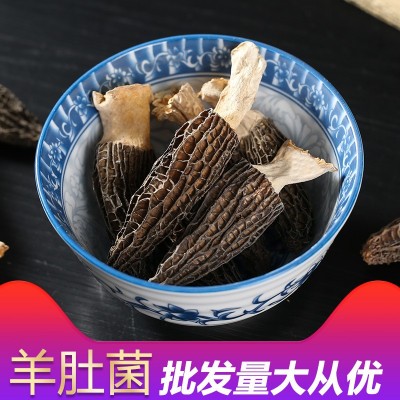 云南特产剪柄羊肚菌1000g批发规格齐全山珍菌菇干货 一件代发