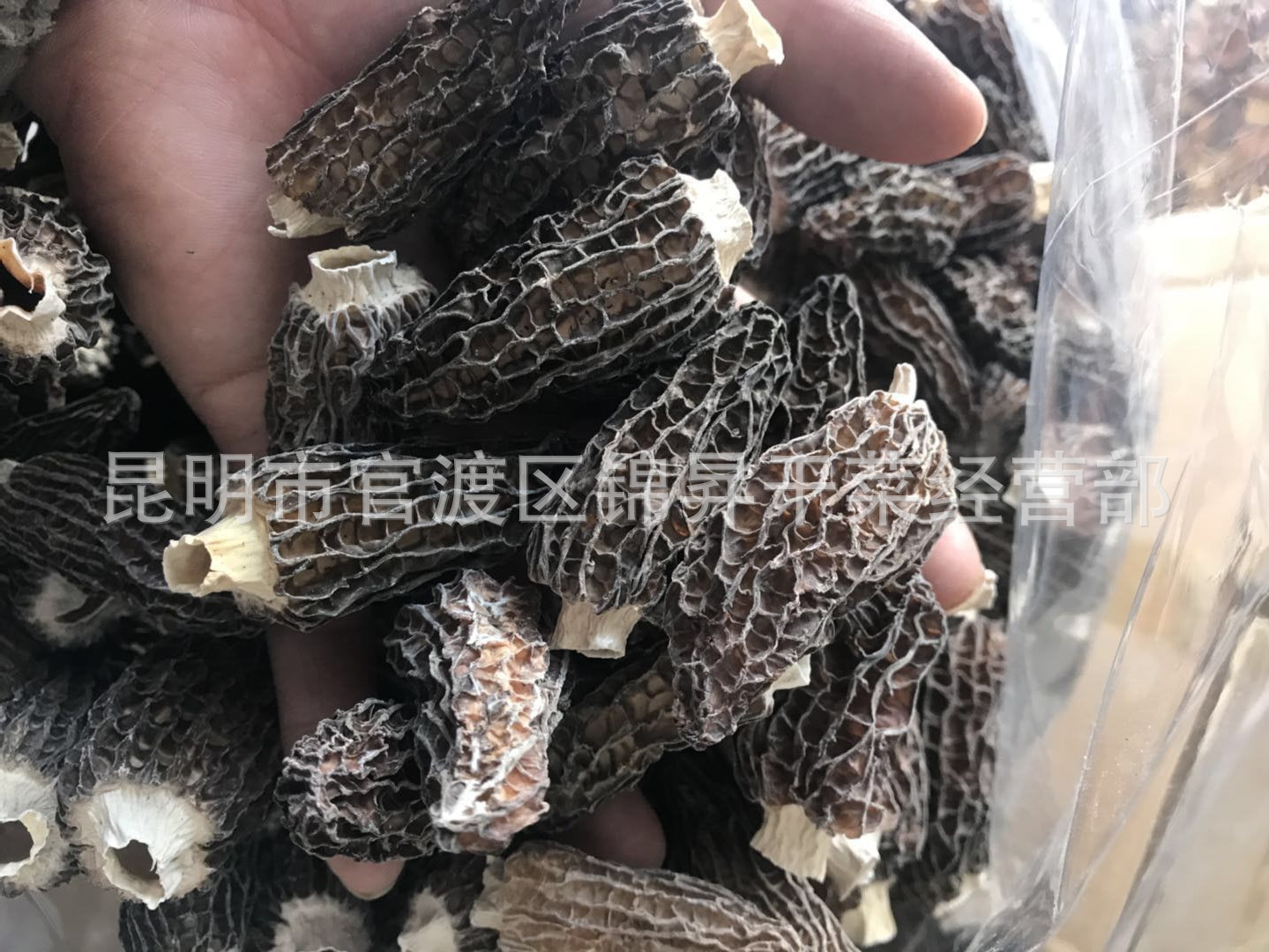 mmexport1520156176441_副本.jpg