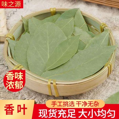 批发新货特绿香叶 大片无碎调香月桂叶 炖肉卤水调味香辛料香叶图4