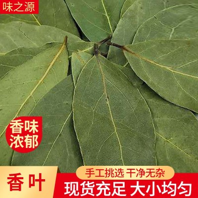 批发新货特绿香叶 大片无碎调香月桂叶 炖肉卤水调味香辛料香叶图3