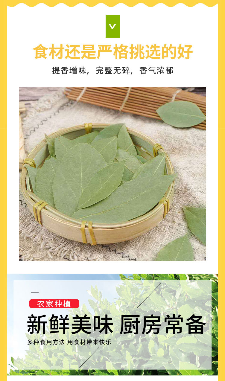 shuang-(17)香叶-副本_01.jpg