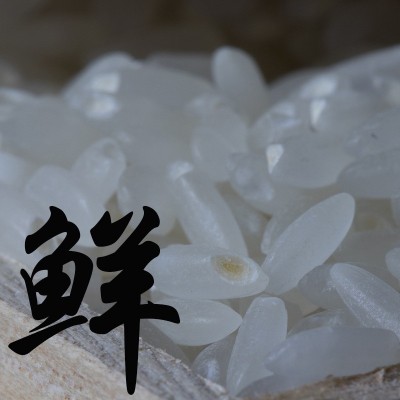 东北大米黑龙江新米响水石板大米长粒香米5KG 10斤袋产地直销图2