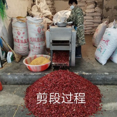 产地货源干辣椒段微辣中餐小面内黄新一代现货批发天鹰小椒500g图5