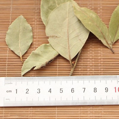 香叶500g 月桂叶 卤料火锅底料散装 量大批发图4