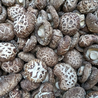 河南土特产干制花菇 规格齐全 礼品香菇花菇 出口级内销级 500g图3