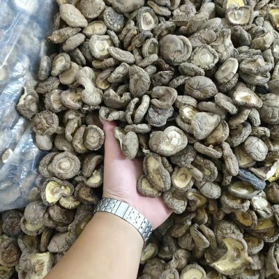 河南香菇产地大量供应干制香菇 规格齐全 2-3 3-4 4-5 5以上 通货图3