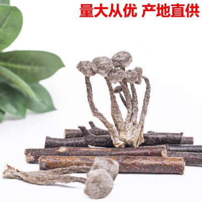 鹿茸菇鹿茸菌干货500g鹿茸菇干货鹿茸菌干货食用菌批发