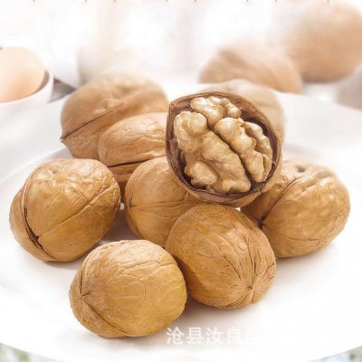 185纸皮核桃 新疆阿克苏纸皮核桃手捏即开散装整箱20斤核桃批发图2