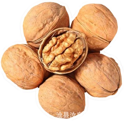 185纸皮核桃 新疆阿克苏纸皮核桃手捏即开散装整箱20斤核桃批发图5