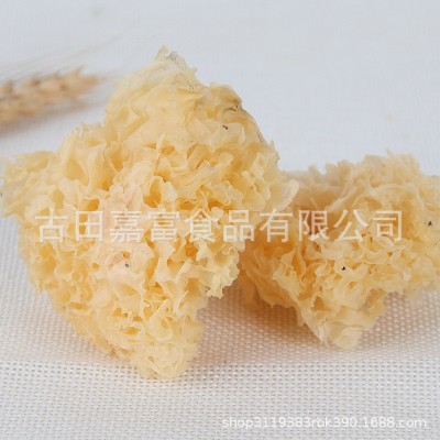 厂家古田农家椴木小银耳 新耳采摘严选白木耳糯耳小银耳500g干货图4