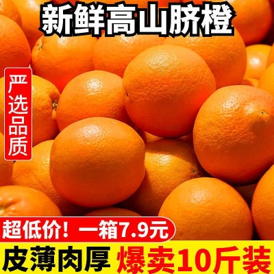严选四川高山脐橙当季橙子新鲜水果应季酸甜橙非赣南脐橙冰糖橙