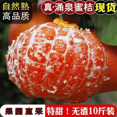 批发临海涌泉蜜桔 5/9斤新鲜纯甜蜜桔无打蜡应季孕妇水果一件代发