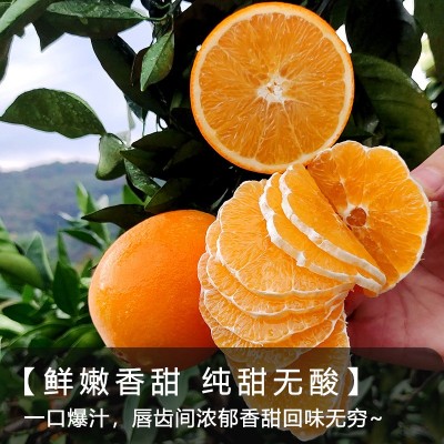 【顺丰包邮】正宗赣南脐橙 5斤10斤农选好果精美礼盒送礼佳品批发图3