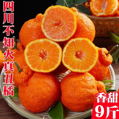 丑橘不知火正宗四川眉山产地直发果园丑柑一件代发整箱批发整车发图3