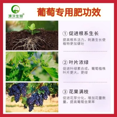 葡萄专用肥 生根壮苗保花保果增产增收有机质40有效活菌数0.2亿图4