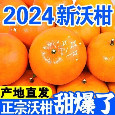 正宗广西武鸣沃柑水果纯甜多汁果园现摘现发应季橘子皮薄新鲜水果图4
