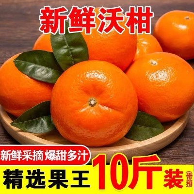 正宗广西武鸣沃柑水果纯甜多汁果园现摘现发应季橘子皮薄新鲜水果图3