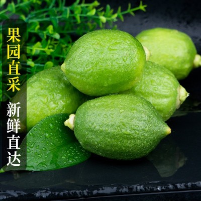 广东香水柠檬新鲜正宗青柠檬无籽大果一级果应当季水果奶茶店专用图4