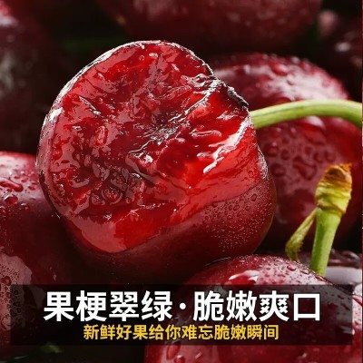 广州江南批发顺丰直发智利进口车厘子JJJJ新鲜大樱桃当季 车厘子图3