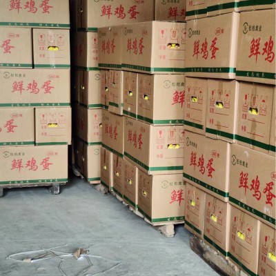 五谷散养虫草土鸡蛋批发免费喷码农家林间散养新鲜土鸡蛋草鸡蛋图4