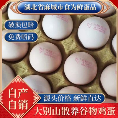五谷散养虫草土鸡蛋批发免费喷码农家林间散养新鲜土鸡蛋草鸡蛋图2