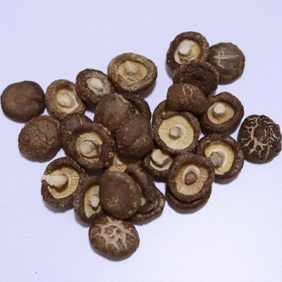 香菇干农家特产肉厚无根小干香菇商用散装批发平脚菌菇河南干香菇图4