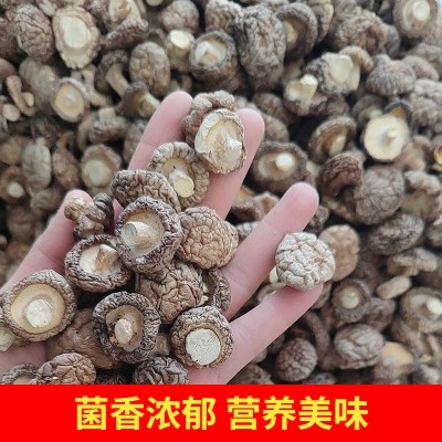 云南特产香菇批发干货袖珍小香菇批发产地直发云南蘑菇图4