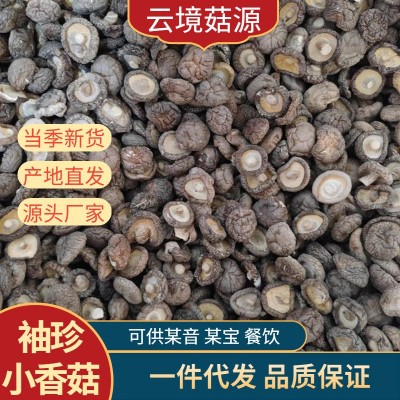 云南特产香菇批发干货袖珍小香菇批发产地直发云南蘑菇图2