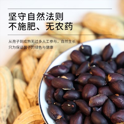 云南特产黑花生富硒黑花生2023新货晒干黑花生种带壳黑皮花生米图3