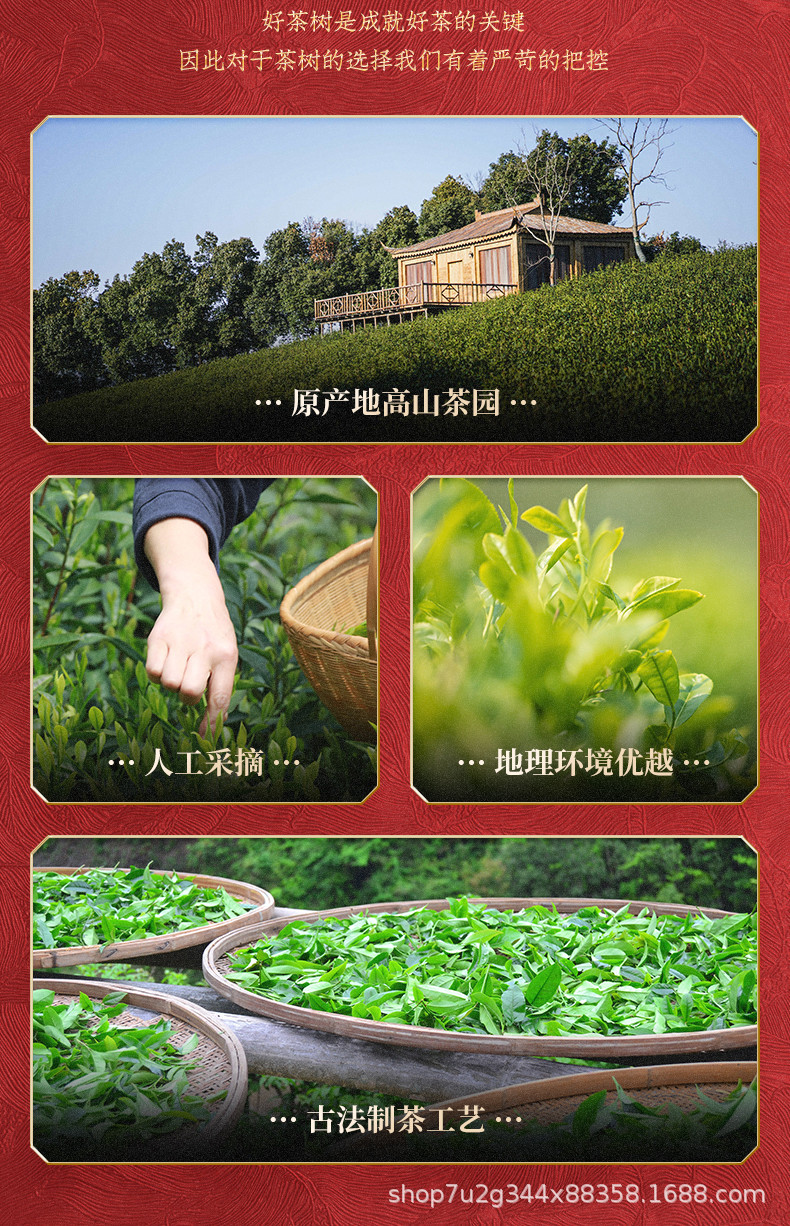 正山小种详情_04.jpg