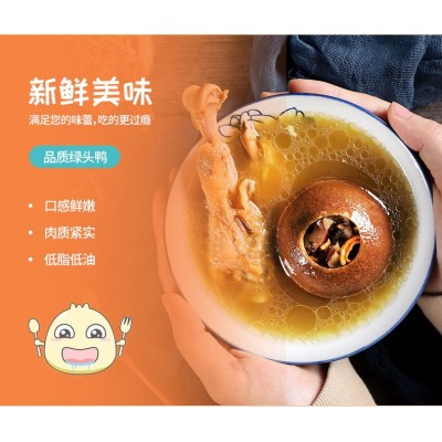 厂家有机认证现杀现发速冻包邮新鲜鸭肉农家散养鸭子绿头老鸭养殖图3