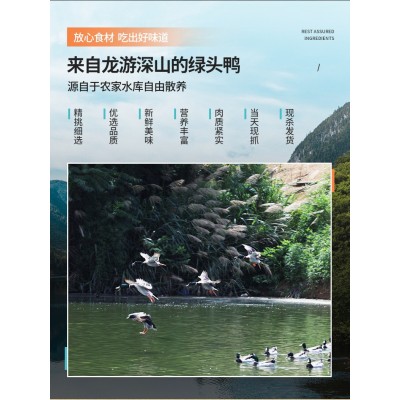 厂家有机认证现杀现发速冻包邮新鲜鸭肉农家散养鸭子绿头老鸭养殖图2