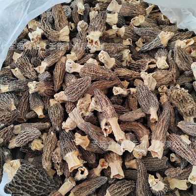 云南土特产羊肚菌干货散装大货批发厂家直批新货煲汤干蘑菇羊肚菌图3
