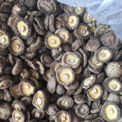 特产香菇干货厂家批发直销小香菇菌汤包批发代生产食用菌批发图2