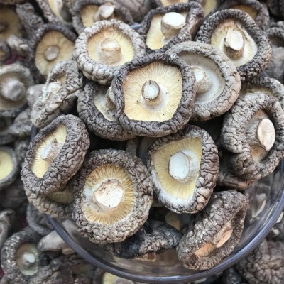 特产香菇干货厂家批发直销小香菇菌汤包批发代生产食用菌批发图4