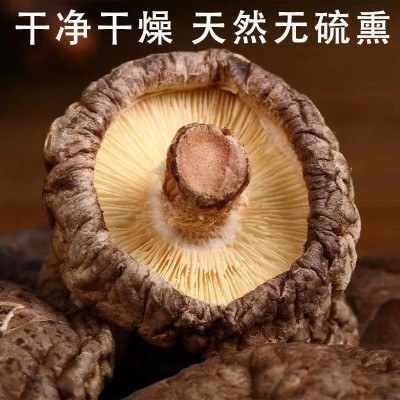 古田香菇干货250g袋装剪脚无根肉厚新鲜干香菇蘑菇食用菌厂家批发图2
