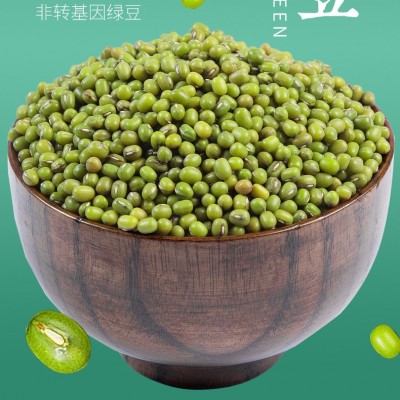 批发绿豆 绿豆熬粥新货现货供应五谷杂粮袋装绿豆图1