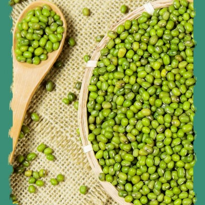批发绿豆 绿豆熬粥新货现货供应五谷杂粮袋装绿豆图2